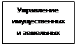 Решение Воронежской городской Думы городского округа город Воронеж от 15.07.2026 N 269-VI "О внесении изменений в решение Воронежской городской Думы от 29.08.2012 N 879-III «О структуре администрации городского округа город Воронеж»". Рис. 29
