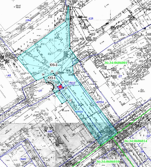 Постановление правительства Воронежской области от 26.04.2021 N 210 "Об утверждении зон охраны объекта культурного наследия регионального значения "Заставский пилон", расположенного по адресу: город Воронеж, ул. Карла Маркса, близ школы N 9, и требований к градостроительным регламентам в границах территорий указанных зон"