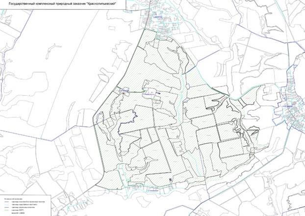 Постановление правительства Воронежской области от 28.04.2021 N 246 "О внесении изменений в постановление правительства Воронежской области от 04.05.2016 N 316"