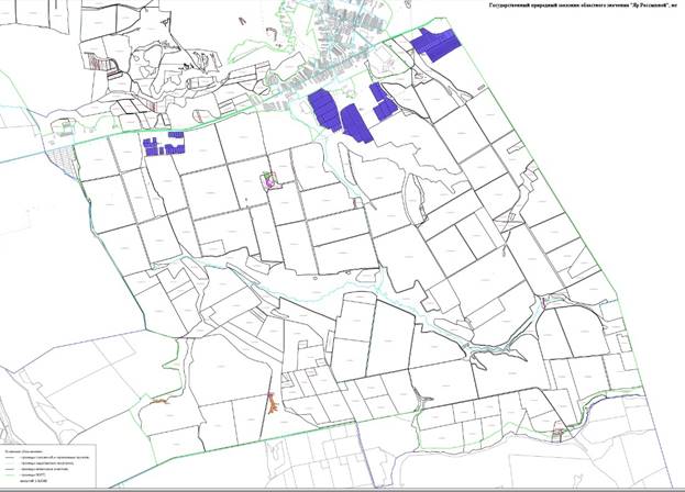 Постановление правительства Воронежской области от 28.04.2021 N 247 "О внесении изменений в постановление правительства Воронежской области от 09.06.2018 N 526"