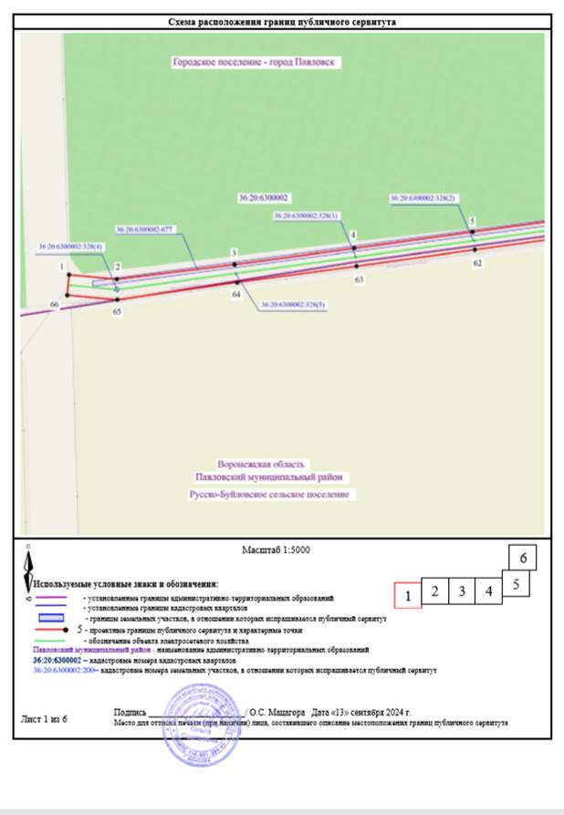 Постановление Правительства Воронежской области от 28.12.2024 N 896 "Об установлении публичного сервитута"