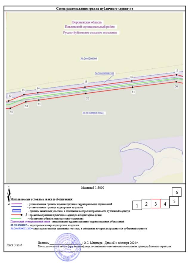 Постановление Правительства Воронежской области от 28.12.2024 N 896 "Об установлении публичного сервитута"