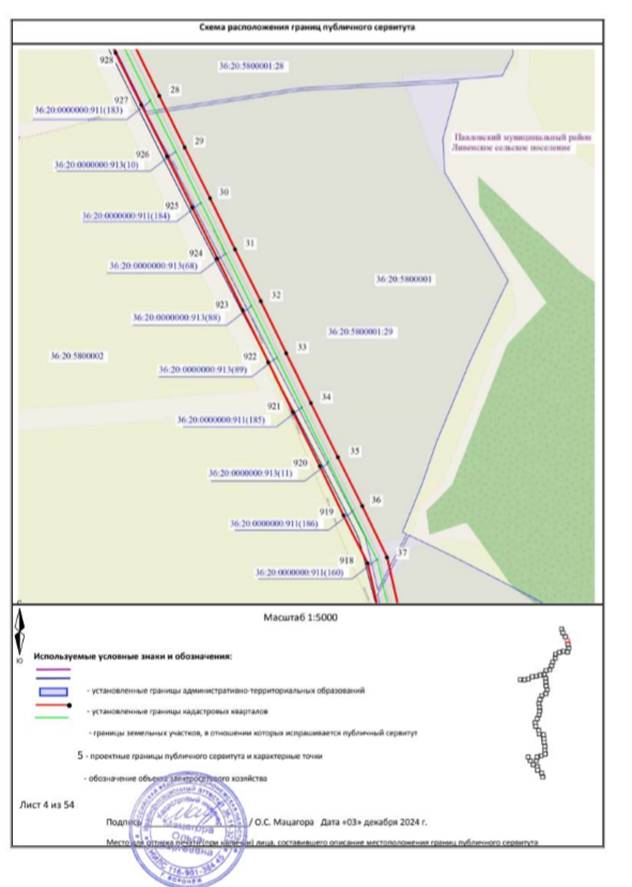 Постановление Правительства Воронежской области от 26.06.2026 N 420 "Об установлении публичного сервитута". Рис. 30
