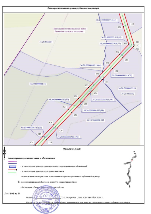 Постановление Правительства Воронежской области от 26.06.2026 N 420 "Об установлении публичного сервитута". Рис. 38