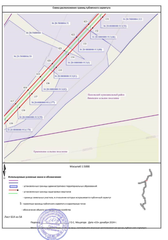 Постановление Правительства Воронежской области от 26.06.2026 N 420 "Об установлении публичного сервитута". Рис. 39