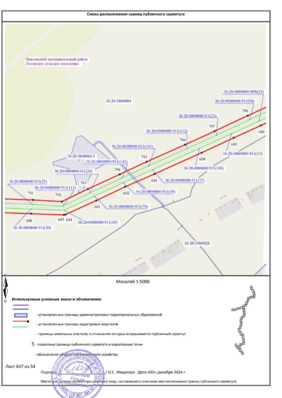 Постановление Правительства Воронежской области от 26.06.2026 N 420 "Об установлении публичного сервитута". Рис. 41