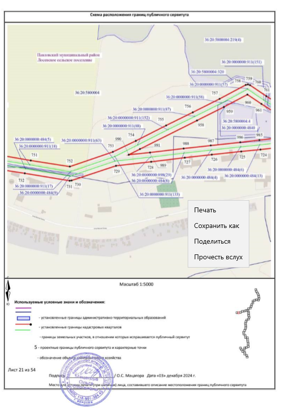 Постановление Правительства Воронежской области от 26.06.2026 N 420 "Об установлении публичного сервитута". Рис. 45