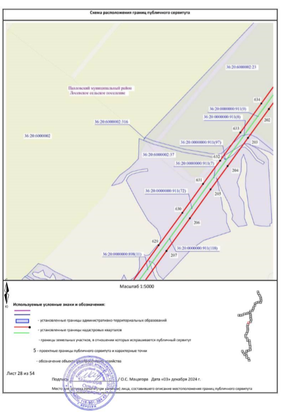 Постановление Правительства Воронежской области от 26.06.2026 N 420 "Об установлении публичного сервитута". Рис. 52