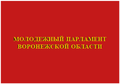 Постановление Воронежской областной Думы Воронежской области от 08.07.2026 N 449-VIII-ОД "О внесении изменений в приложение к постановлению Воронежской областной Думы «Об утверждении Положения о Молодежном парламенте Воронежской области»". Рис. 1