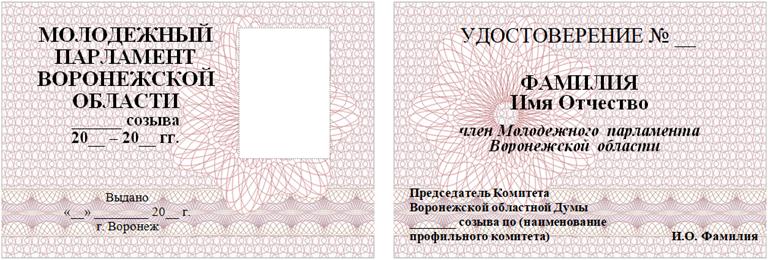 Постановление Воронежской областной Думы Воронежской области от 08.07.2026 N 449-VIII-ОД "О внесении изменений в приложение к постановлению Воронежской областной Думы «Об утверждении Положения о Молодежном парламенте Воронежской области»". Рис. 3