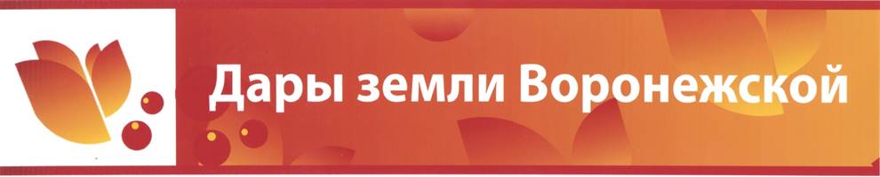 Постановление Правительства Воронежской области от 28.07.2026 N 475 "О внесении изменений в постановление Правительства Воронежской области от 21.06.2016 N 432". Рис. 1