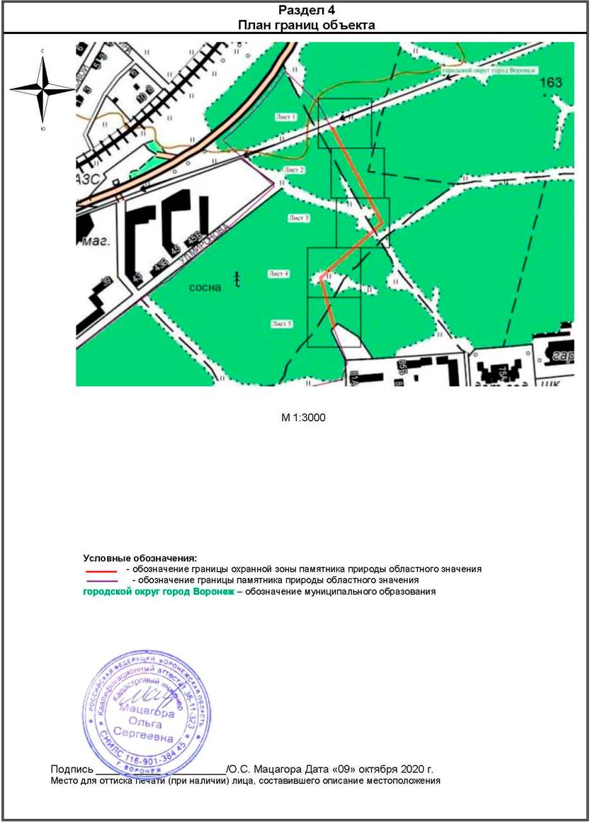 Указ губернатора Воронежской области от 08.06.2021 N 105-у "Об установлении охранной зоны памятника природы областного значения "Северный лес"